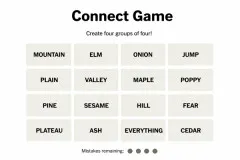 Connect Game